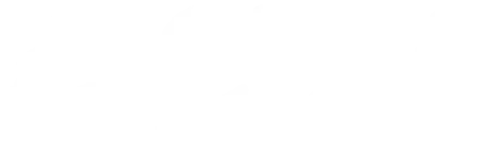 CBM Christmas Business de México
